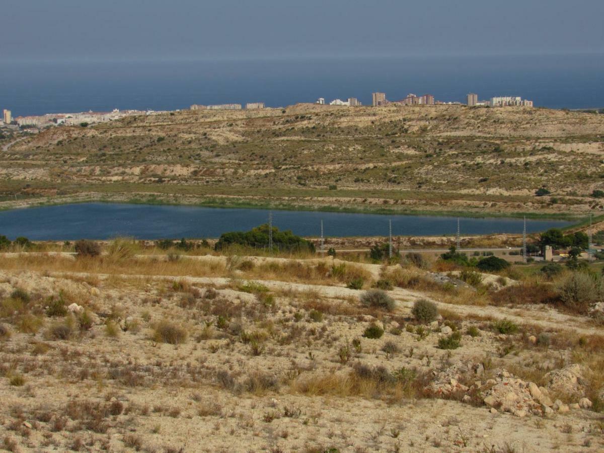 Cala Golf Daire Mutxamel Dış mekan fotoğraf